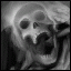 Sp0ke